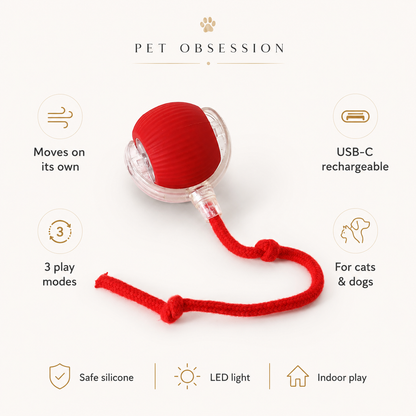 Smart Interactive Pet Ball