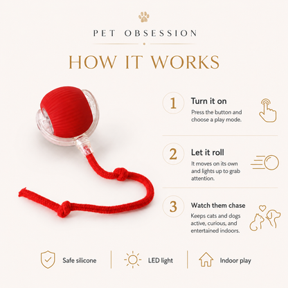 Smart Interactive Pet Ball