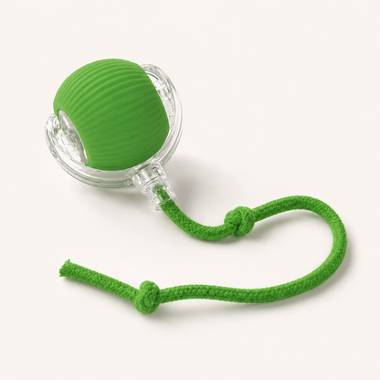 Smart Interactive Pet Ball